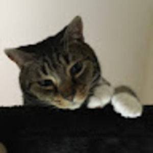 Meet your Posher, Ava claire